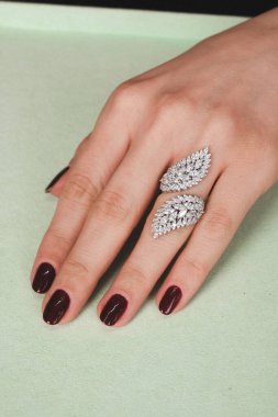 Akşam Şenliği İçin Parlayan Altın ve Elmas Mücevherler