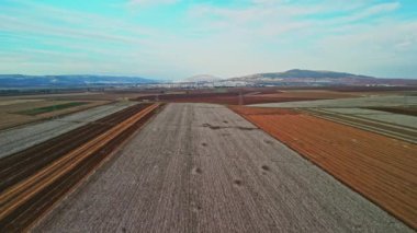 Hasat sırasında büyük bir pamuk tarlasının havadan görünüşü. Yüksek kalite 4k görüntü
