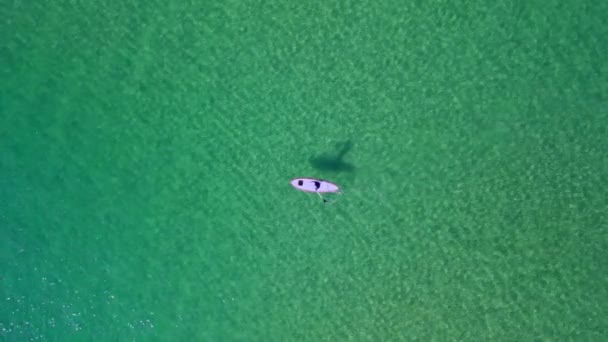 Subsurfer Κολύμπι Όμορφα Μπλε Νερά Από Πάνω Προς Κάτω Θέα — Αρχείο Βίντεο