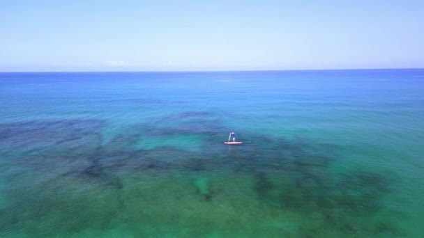 Subsurfer Κολύμπι Όμορφα Μπλε Νερά Από Πάνω Προς Κάτω Θέα — Αρχείο Βίντεο