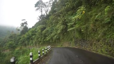 Dağların doğal manzarası ile dolambaçlı yol, yağmurdan sonra sisli bulutlu hava ile yeşil uzun ağaçlar