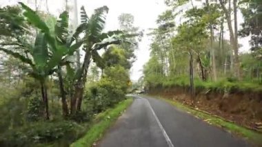 Dağların doğal manzarası ile dolambaçlı yol, yağmurdan sonra sisli bulutlu hava ile yeşil uzun ağaçlar