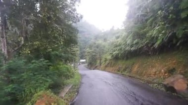 Dağların doğal manzarası ile dolambaçlı yol, yağmurdan sonra sisli bulutlu hava ile yeşil uzun ağaçlar