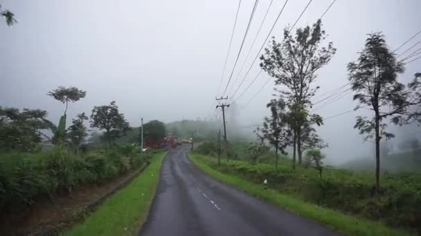 蜿蜒曲折的山路 绿树成荫 雨后多雾 — 图库视频影像