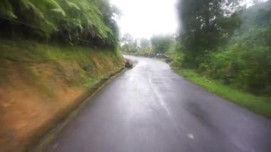 Dağların doğal manzarası ile dolambaçlı yol, yağmurdan sonra sisli bulutlu hava ile yeşil uzun ağaçlar
