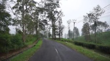 Dağların doğal manzarası ile dolambaçlı yol, yağmurdan sonra sisli bulutlu hava ile yeşil uzun ağaçlar