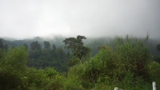 蜿蜒曲折的山路 绿树成荫 雨后多雾 — 图库视频影像