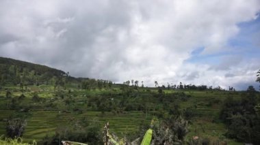Doğal manzara dağları, doğal panorama tepeleri, ve uzun yeşil ağaçlardan oluşan ormanlar ve bulutlu mavi gökyüzünün altında yeşil tarlalar.