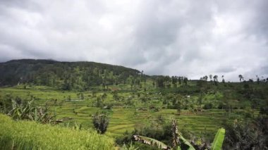Doğal manzara dağları, doğal panorama tepeleri, ve uzun yeşil ağaçlardan oluşan ormanlar ve bulutlu mavi gökyüzünün altında yeşil tarlalar.