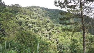 Doğal manzara dağları, doğal panorama tepeleri, ve uzun yeşil ağaçlardan oluşan ormanlar ve bulutlu mavi gökyüzünün altında yeşil tarlalar.