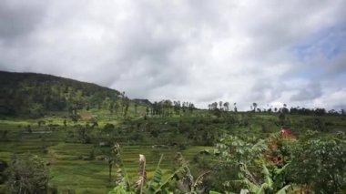 Doğal manzara dağları, doğal panorama tepeleri, ve uzun yeşil ağaçlardan oluşan ormanlar ve bulutlu mavi gökyüzünün altında yeşil tarlalar.