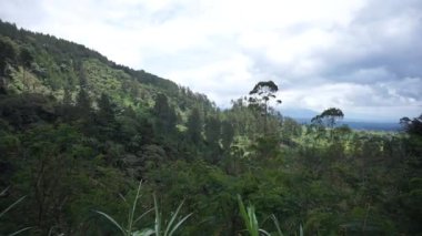 Doğal manzara dağları, doğal panorama tepeleri, ve uzun yeşil ağaçlardan oluşan ormanlar ve bulutlu mavi gökyüzünün altında yeşil tarlalar.