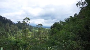 Doğal manzara dağları, doğal panorama tepeleri, ve uzun yeşil ağaçlardan oluşan ormanlar ve bulutlu mavi gökyüzünün altında yeşil tarlalar.