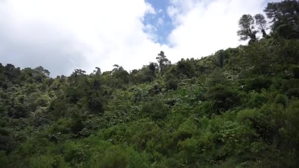 Naturalne Krajobrazy Góry Naturalne Panorama Wzgórza Las Wysokich Zielonych Drzew — Wideo stockowe