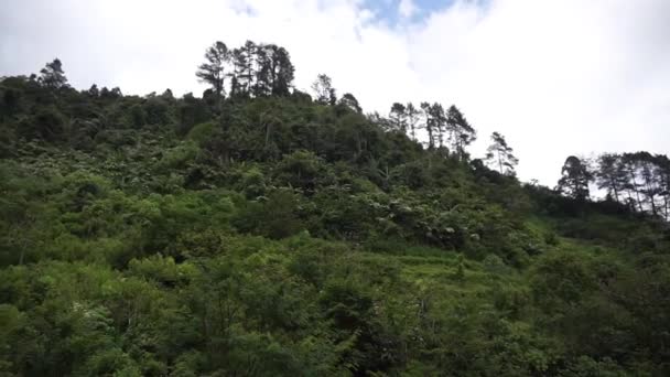 Paisaje Natural Montañas Paisaje Natural Colinas Bosque Árboles Verdes Altos — Vídeos de Stock