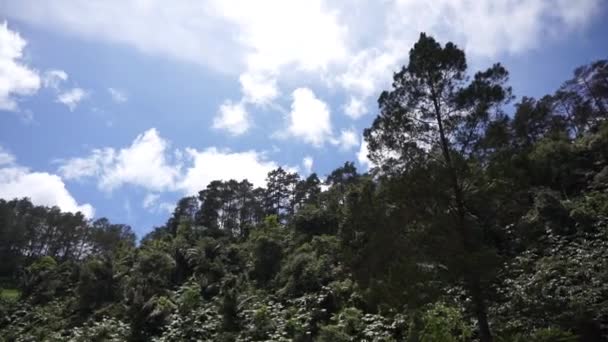 Naturalne Krajobrazy Góry Naturalne Panorama Wzgórza Las Wysokich Zielonych Drzew — Wideo stockowe