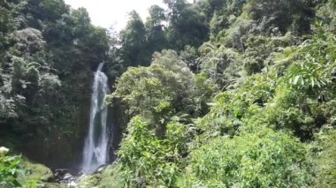 Bir dağ ormandaki güzel şelale