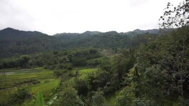 Yeşil dağ manzarası ve bulutlu gökyüzü, çeltik pirinç tarlaları ile güzel