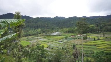 Yeşil dağ manzarası ve bulutlu gökyüzü, çeltik pirinç tarlaları ile güzel