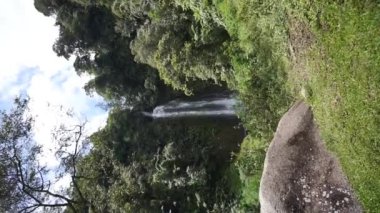 Bir dağ ormanındaki dikey şelalenin güzel bir portresi.