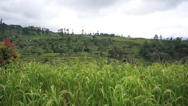 Blick Auf Grüne Berge Und Bewölkten Himmel Schön Mit Reisfeldern — Stockvideo