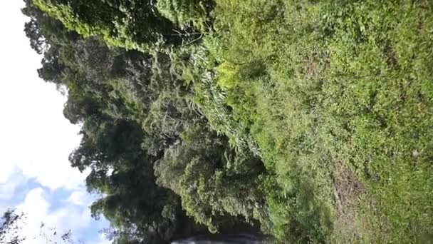 Hermoso Video Vertical Retrato Paisaje Natural Montañas Panorama Natural Colinas — Vídeos de Stock