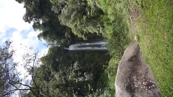 Belo Vídeo Retrato Uma Cachoeira Vertical Uma Floresta Montanha — Vídeo de Stock
