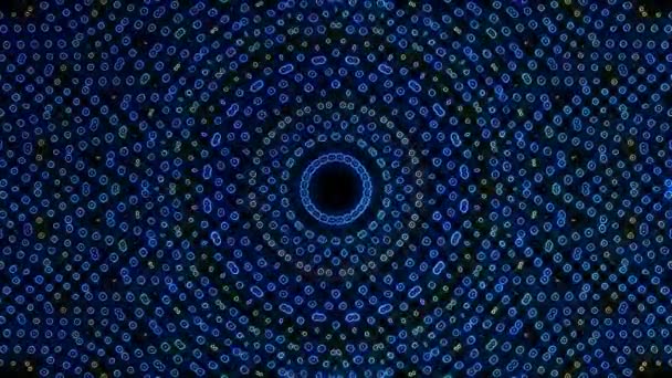 Анімований Цифровий Абстракт Барвисті Вигнуті Круглі Лінії Чорному Тлі Безшовна — стокове відео