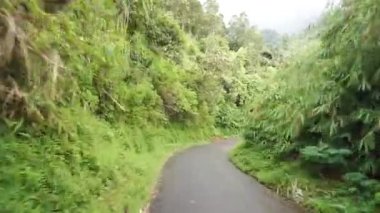 Tepelerin doğal manzarası ve uzun yeşil ağaçlarla dolu bir gezi. Gün boyunca bulutlu ve sisli bir hava var.