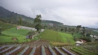 Tepelerin doğal manzarası ve uzun yeşil ağaçlarla dolu bir gezi. Gün boyunca bulutlu ve sisli bir hava var.