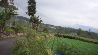 Tepelerin doğal manzarası ve uzun yeşil ağaçlarla dolu bir gezi. Gün boyunca bulutlu ve sisli bir hava var.