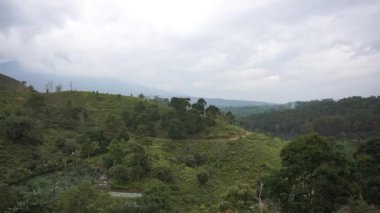 Güzel doğal manzara dağları tepe doğa manzarası, yüksek yeşil ağaçlar ve yeşil yamaçlar ile bulutlu mavi gökyüzünün altında gündüz vakti