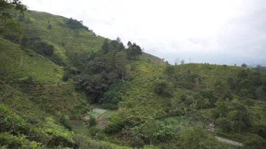 güzel doğal manzara dağları tepe doğa manzarası, yüksek yeşil ağaçlardan oluşan ormanlar