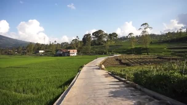 Cestování Venkově Výhledem Rozlohu Rýžových Polí Horských Kopců — Stock video