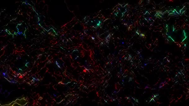 Abstract Shining Bright Lines Set Wave Colorful Black Background — ストック動画