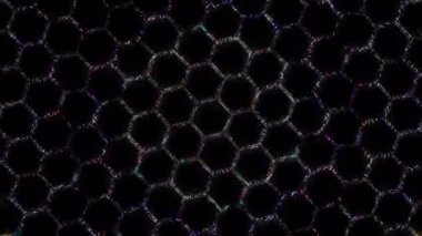 3D soyut parlak çizgiler, dalga, renkli, siyah arkaplan