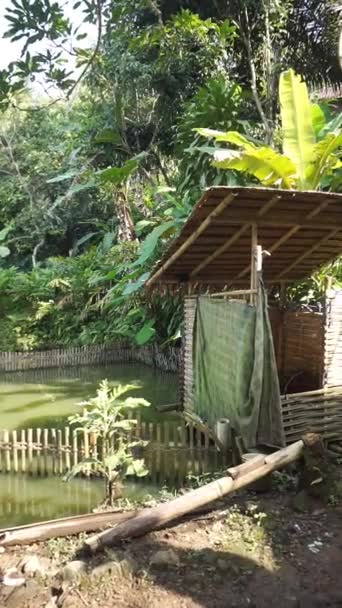 Umum Desa Terbuat Dari Bambu Zaman Kuno — Stok Video