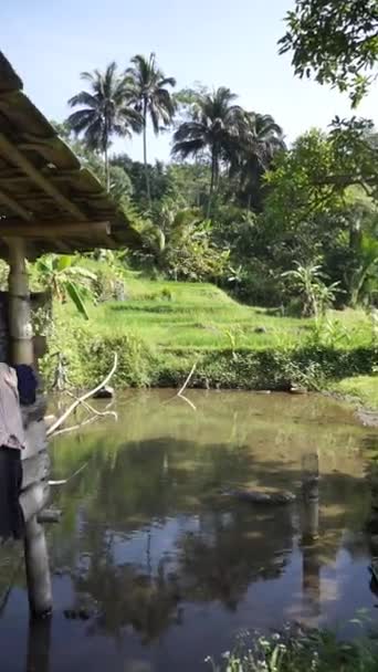 Falvak Nyilvános Bambuszból Készülnek Ősi Időkből — Stock videók