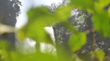 Yüksek şelale, ormandaki serin ve güzel doğal atmosferiyle çok güzel.