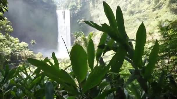 高高的瀑布 美丽的森林里有着凉爽美丽的自然氛围 — 图库视频影像