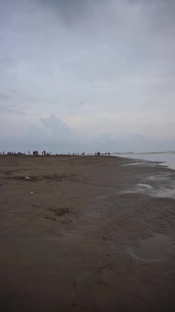 在下午的垂直美丽的海滩肖像视频中 你可以看到小海浪和海滩 — 图库视频影像