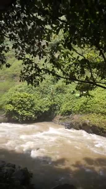 Vertikální Video Bahnité Vody Tekoucí Řece Zelenými Stromy Březích Řeky — Stock video