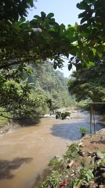 Pionowe Wideo Błotnistej Wody Płynącej Rzece Zielonymi Drzewami Brzegach Rzeki — Wideo stockowe