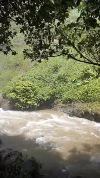 Vertikální Video Bahnité Vody Tekoucí Řece Zelenými Stromy Březích Řeky — Stock video