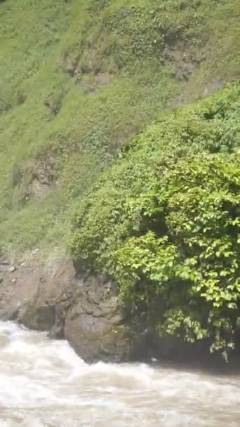 Vídeo Vertical Agua Fangosa Que Fluye Río Con Árboles Verdes — Vídeo de stock