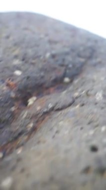 Güzel dikey plaj portresi videoları, sabahları manzara, Cipatujah sahilindeki küçük dalgaların görüntüsü.