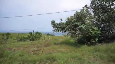 Güney kıyılarında güzel dağ manzaralı yeşil çimen manzaralı bir yolculuk.