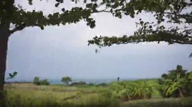 Güney kıyılarında güzel dağ manzaralı yeşil çimen manzaralı bir yolculuk.