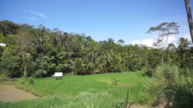 Dağların altında ve kırsalda yeşil ağaçların altında gün boyunca mavi gökyüzü