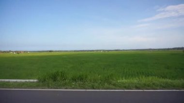 Yeşil pirinç tarlalarının güzel doğal dağ manzaralı güzel yolculuğu.